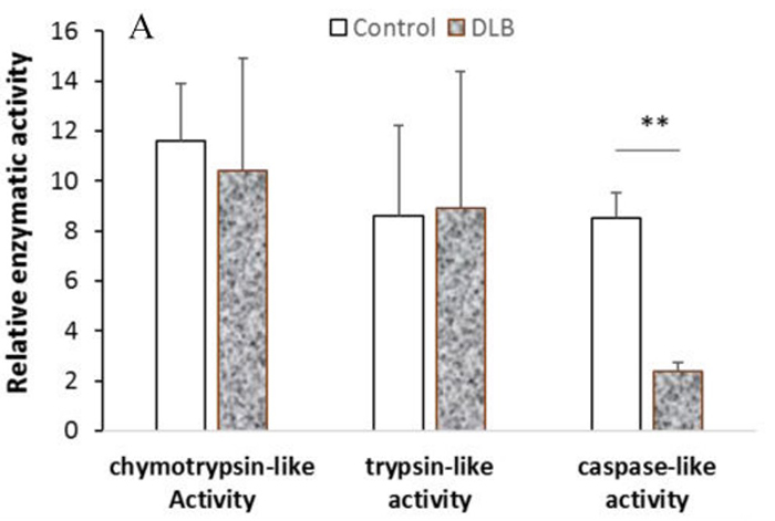 Fig1. Cell lysate was isolated from the SMTG tissue of each subject and the activity of each enzyme was analyzed