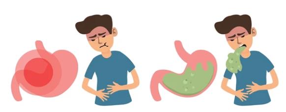 Gastrointestinal Infections