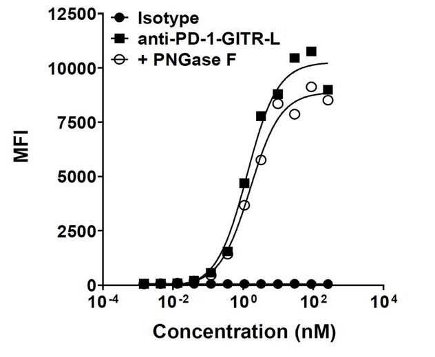 Fig3. Binding of de-glycosylated variants of anti-huPD-1-huGITR-L to human PD-1.