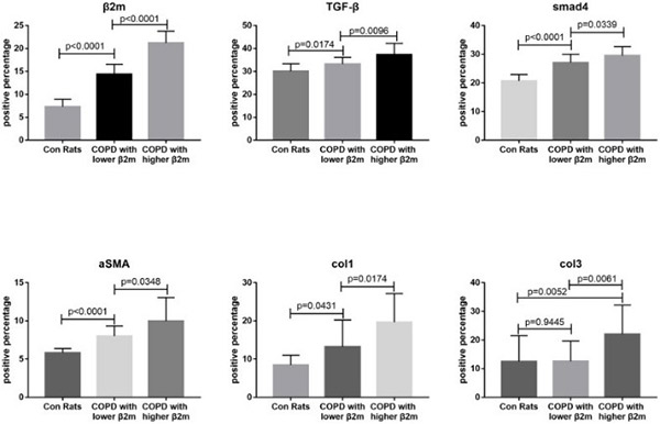 Fig3. Immunohistochemical staining quantitative traits of lung tissue from rats.