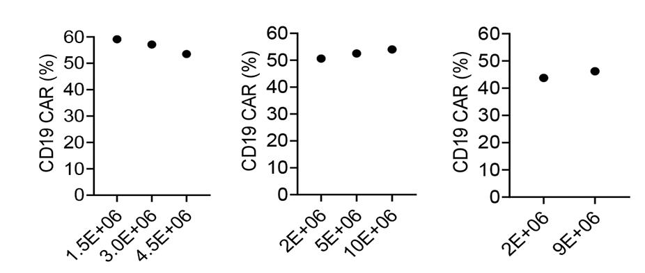 Fig4. Percentage of CD19-CAR expression as determined by flow cytometry.