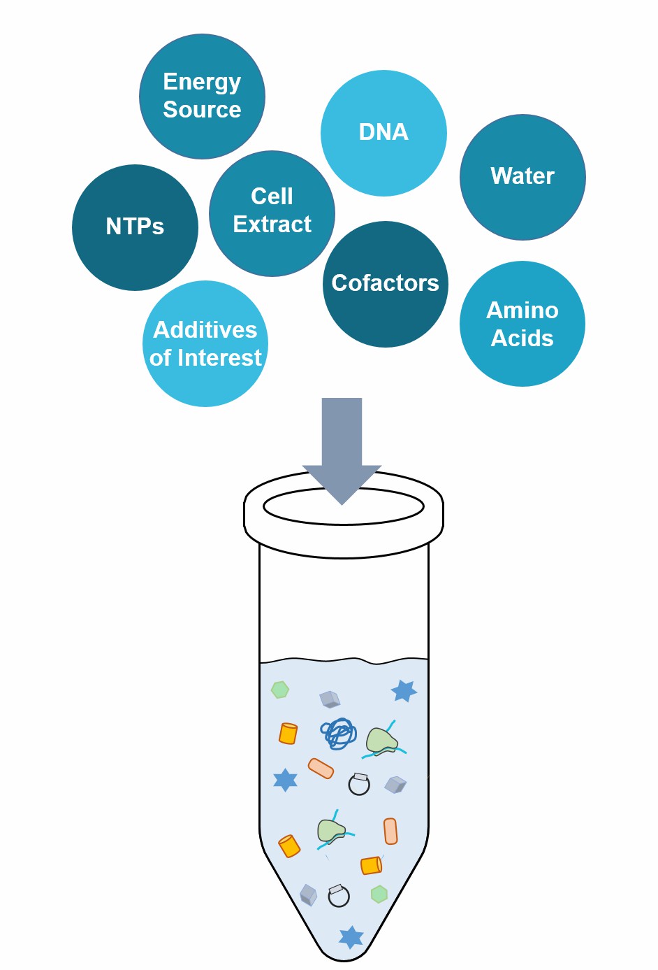 Cell-Free In Vitro Protein Expression