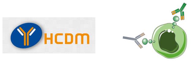 CD Nomenclature