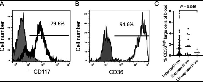 Fig1. Accumulation of reticulocyte-like cells in the blood of children.