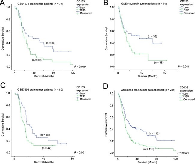 Fig2. The association between CD133 and patient survival Kaplan-Meier analyses for CD133 mRNA expression in (A)
GSE4271, (B) GSE4412, (C) GSE7696, and (D) the combined cohort.