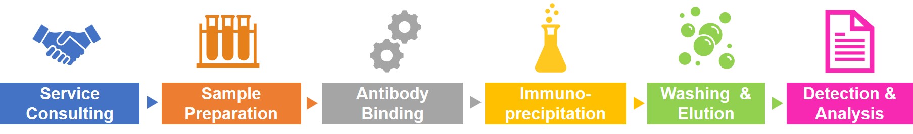 Co-IP Service’ procedure.