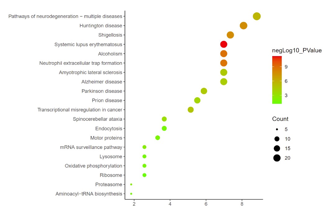 KEGG pathway analysis.