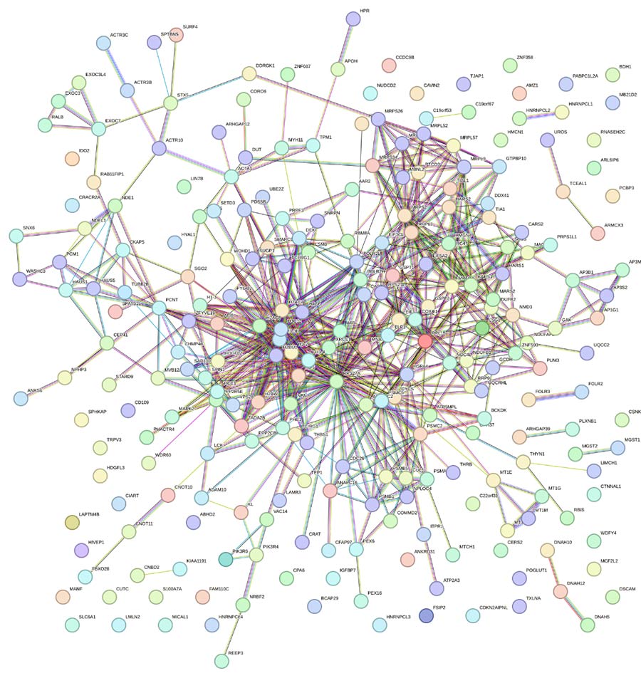 STRING protein interaction network.