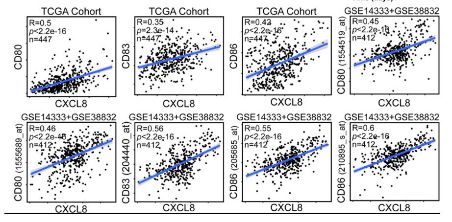 Fig1. CXCL8 expression correlates with activated dendritic cells and their gene expression.