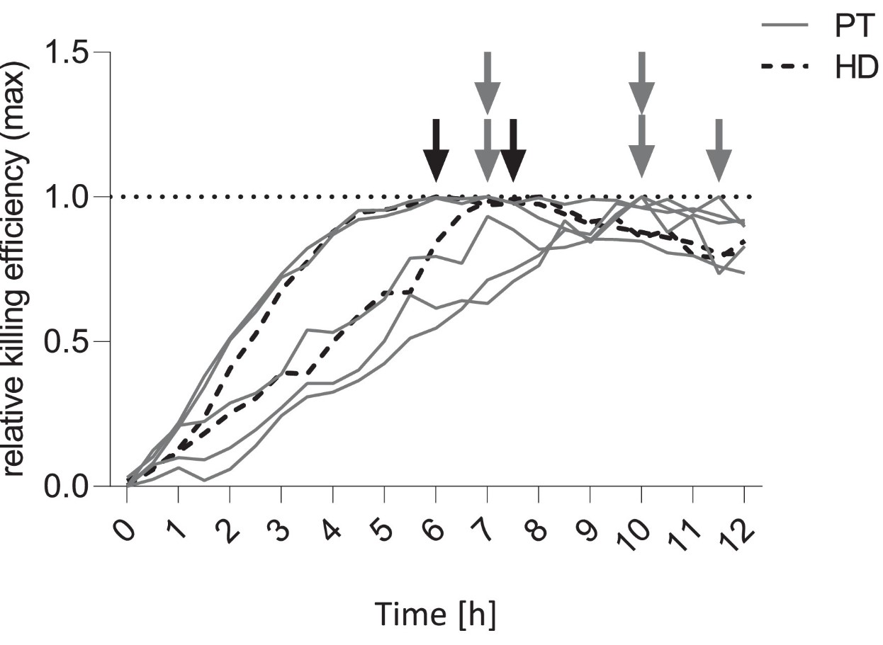 Fig1. Kinetics of CAR-mediated killing: Arrows indicate the time of maximal cytotoxic activity of HD- and
    patient-derived CAR T cells against a CD19+ target cell line
