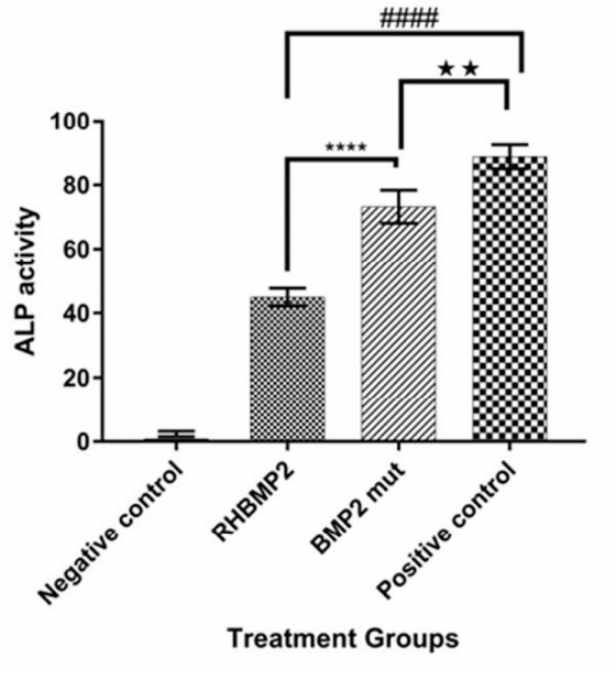 Fig2. Calcium content assay after MSc differentiation.