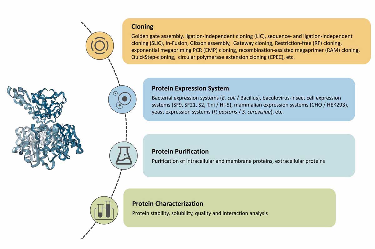 High-throughput Protein Production Platform