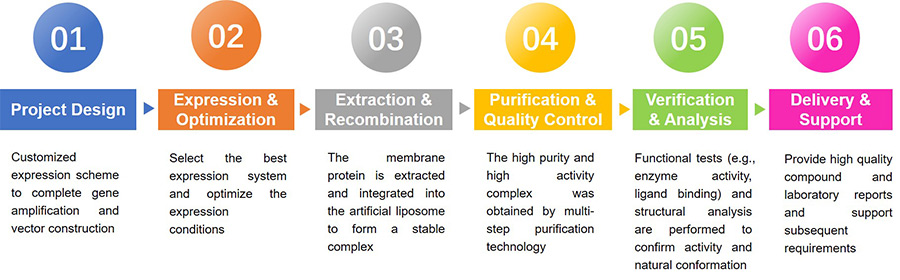 Fig. 1. Integral membrane proteins in liposomes. (Majeed,
<em>et al.</em>2021)
