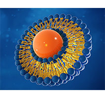 Creative BioMart