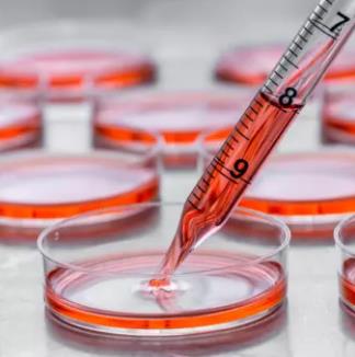 Creative BioMart