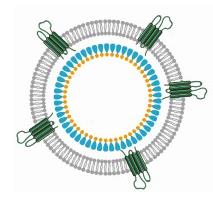 Creative BioMart