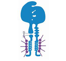 Creative BioMart