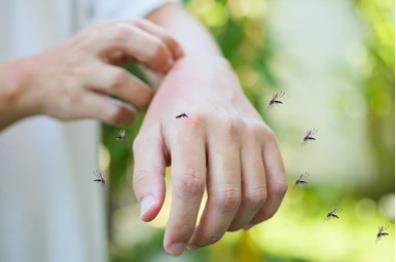 What are Parasitic Infections