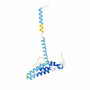 Fig1. PLA2G12A Structure (GeneCard)