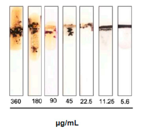 Fig1. Image of the MMP-9 protease sensor responses for different blood samples taken from injected mice with
        different fecal concentrations.