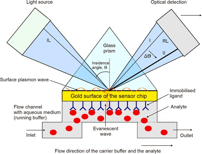 Principle of SPR biosensor.