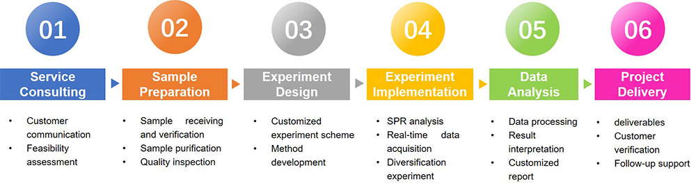 Surface Plasmon Resonance Services’ procedure