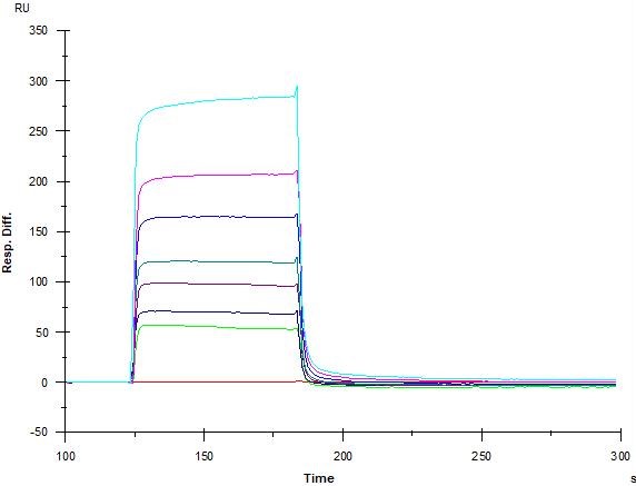SPR results for the project