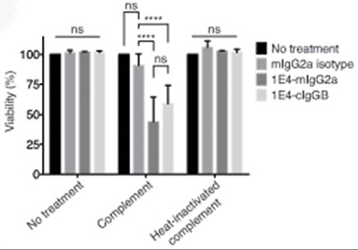 Fig1. Both 1E4 and 1E4-cIgGB induced significant complement-mediated lysis of the target cells