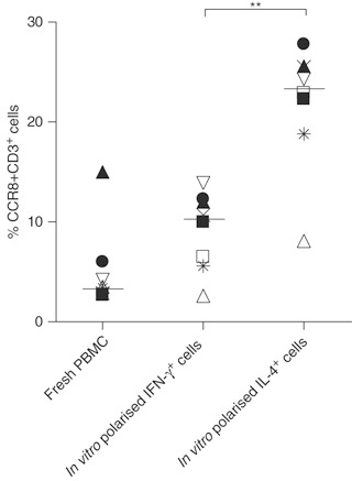 Fig3. T cell CCR8 expression among fresh peripheral blood mononuclear cells (PBMC)