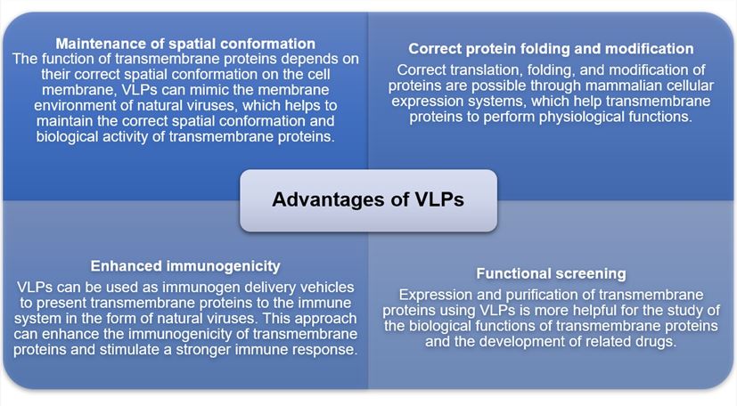 Virus-Like Particles (VLPs) Technology Platform