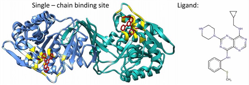 Human ketohexokinase complexed with pyrimidopyrimidine. (Abrusán G., et al. 2018)