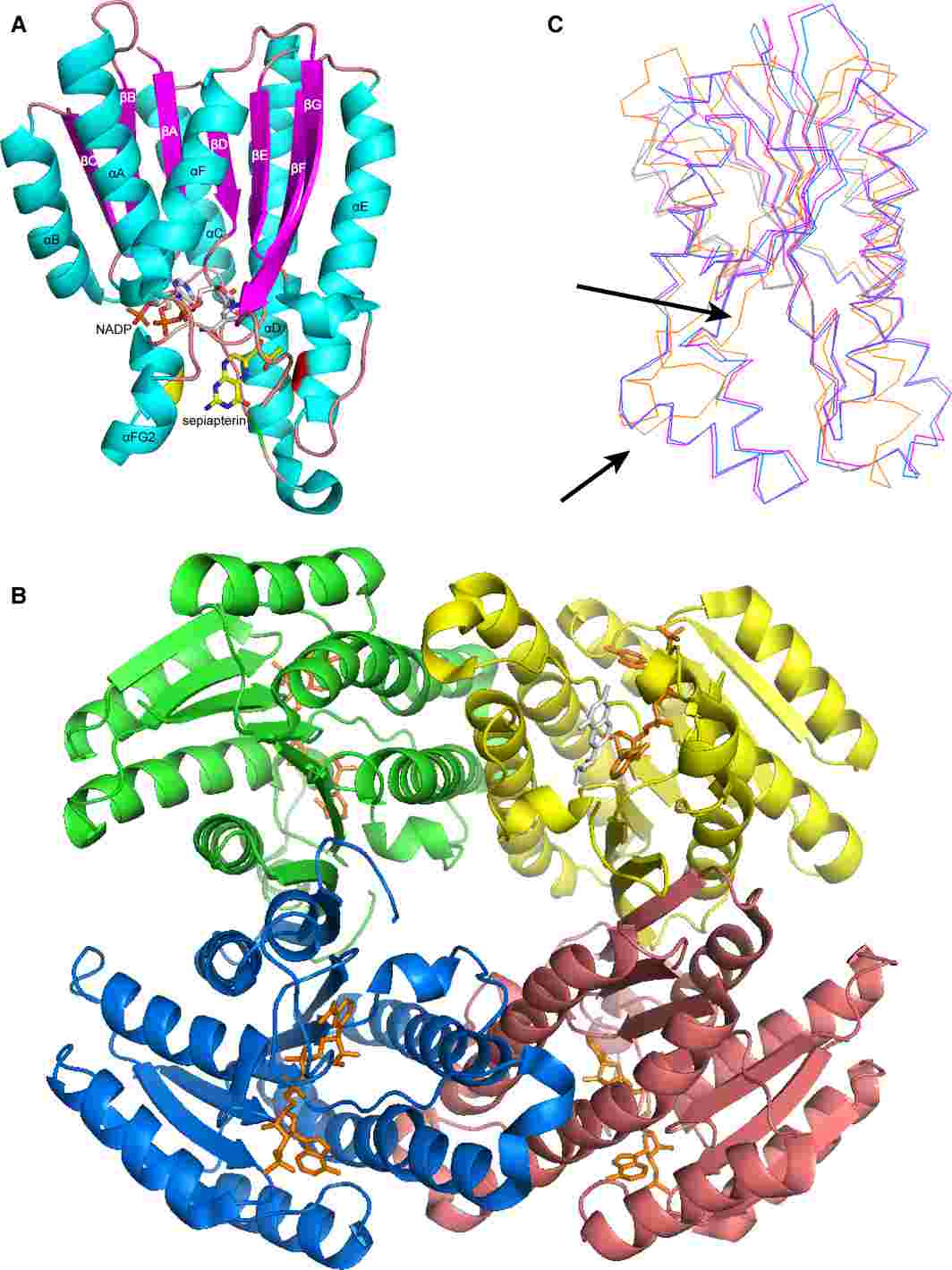 The overall structure of CT-SPR. (Wu, Y., et al. 2020)