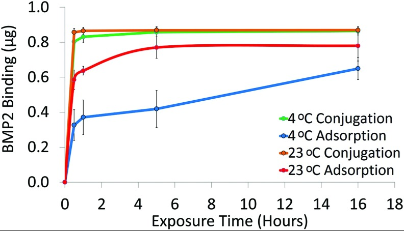 BMP2 binding to PCL discs via adsorption or conjugation