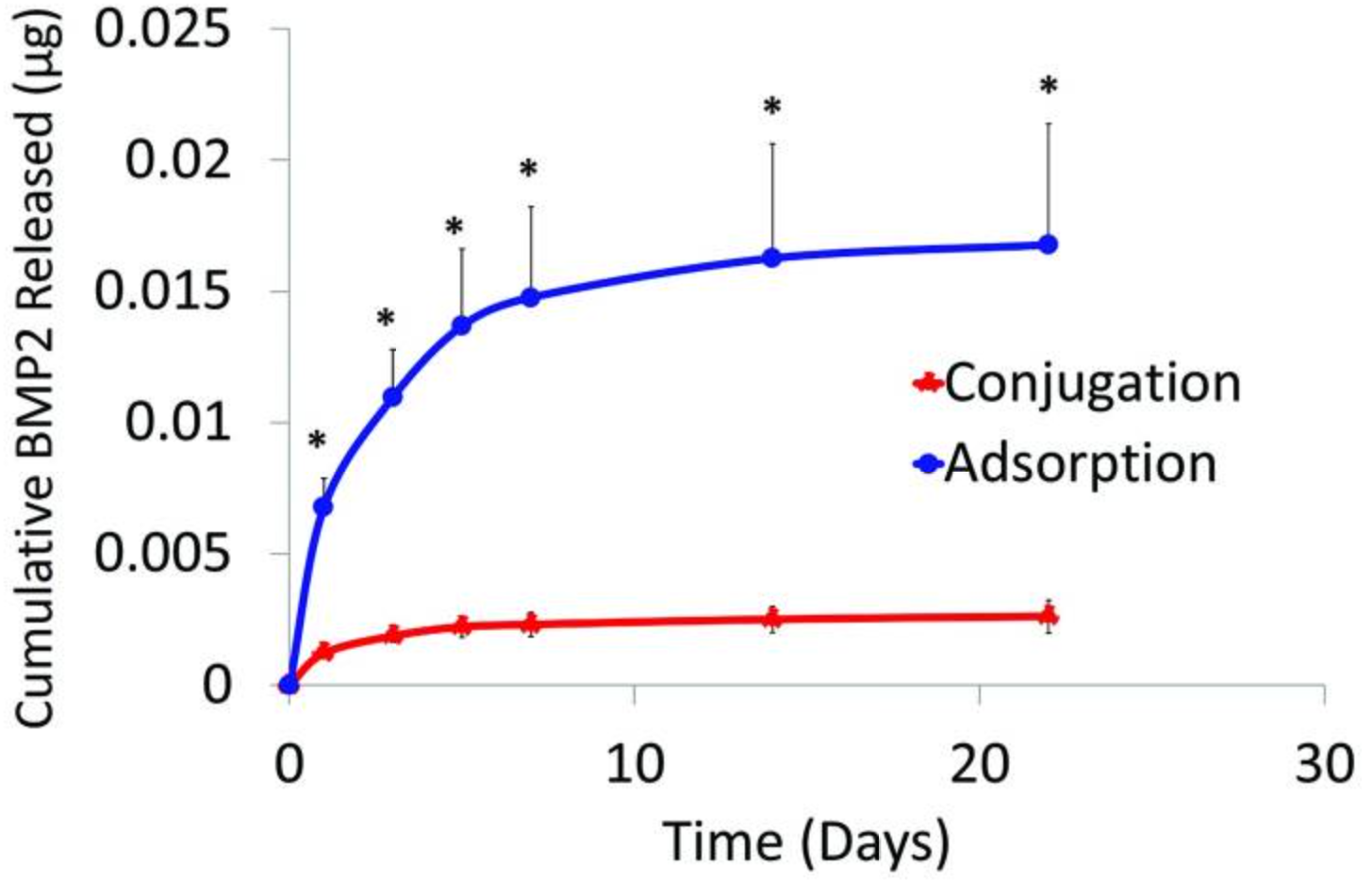 Fig2. Conjugated and adsorbed BMP2 released from PCL