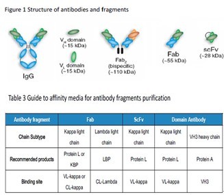 Protein L Agarose High Flow Resin,Protein L Agarose High Flow Resin