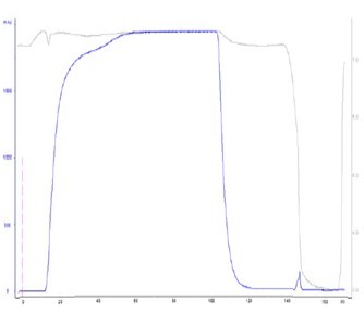 Protein L Agarose High Flow Resin,Protein L Agarose High Flow Resin