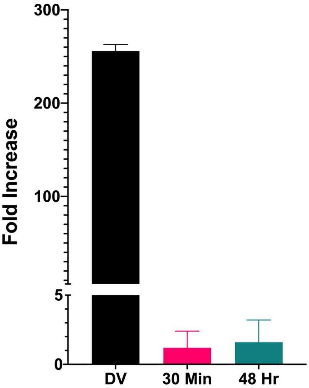 Similar amounts of chromatin from disrupted virions, minichromosomes isolated 30 minutes post infection, and minichromosomes isolated 48 hours post infection were incubated in parallel with HIS-tagged SP1. Bound chromatin was separated from unbound chromatin and purified on Ni magnetic beads. The DNA present in the bound chromatin was purified and amplified by real-time qPCR using primers recognizing the enhancer region of the SV40 DNA. The results are displayed as the fold increase in binding in the presence of HIS-tagged SPI compared to a parallel sample treated the same without HIS-tagged SP1 being present. For each type of SV40 chromatin, at least four biological replicates were averaged to generate the graphs in the figure.