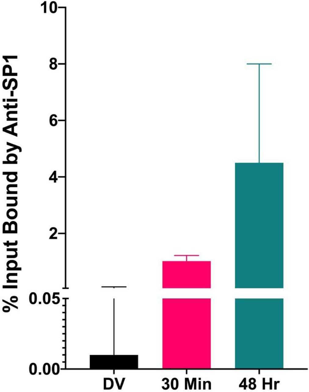Similar amounts of chromatin from disrupted virions and minichromosomes isolated 30 minutes and 48 hours post infection were subjected to a ChIP assay with antibody to SP1. The DNA present in the bound chromatin was purified and analyzed along with an aliquot of the corresponding input chromatin by real-time qPCR using primers that recognize the enhancer region. The percentage of input chromatin that was bound by SP1 was calculated for each sample. For each type of SV40 chromatin, at least four biological replicates were averaged to generate the graphs in the figure.
