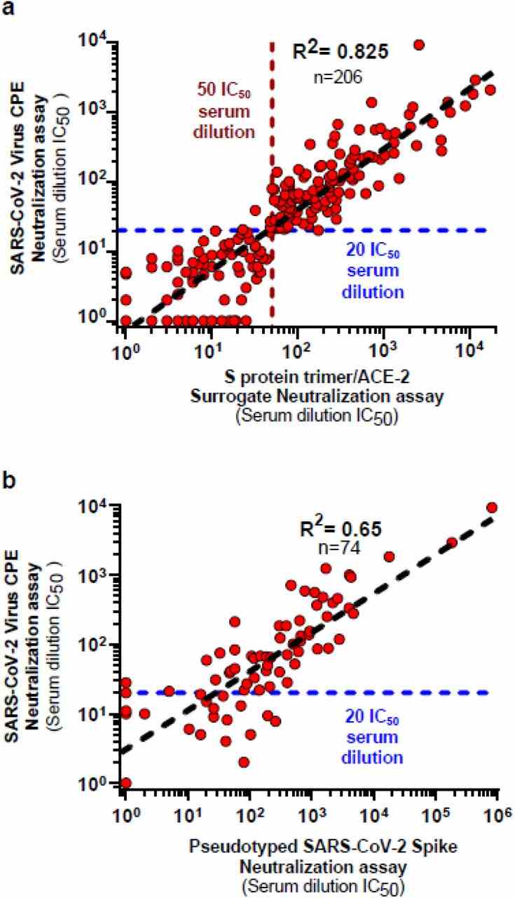 ( a ) Cross-validation studies between S 3 /ACE2 surrogate neutralization assay and the “gold standard” SARS-CoV-2 cytopathic effect (CPE) neutralization assay. Seropositive donors (n=206) with varying levels of anti-S protein antibodies were selected for comparison of the assays. Donors consisted of COVID-19 hospitalized patients (n=31), symptomatic infected donors with RT-PCR-documentation (n=64) and other seropositive donors identified through random sampling, volunteers or contact with a confirmed SARS-CoV-2 infected individual in a Swiss population serological survey (n=111). ( b ) Correlation between the live SARS-CoV-2 virus cytopathic effect and S protein pseudotyped neutralization assays. A group of 74 samples from S protein seropositive donors were compared in the live virus CPE and S protein pseudotyped virus cell based neutralization assays. Correlation between the two neutralization assays is represented by the black dashed line and the 20 serum dilution IC 50 cutoff for positivity in the CPE assay is shown with the blue dashed line.