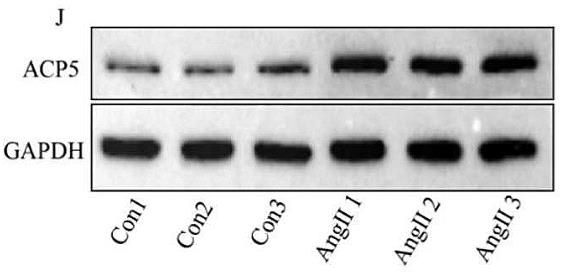 ACP5-240H-1.jpg