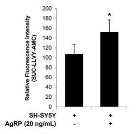 AGRP-191H-3.jpg