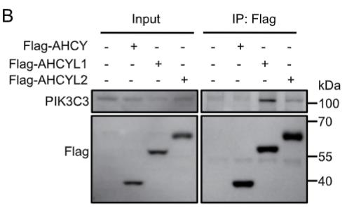 AHCY-727H-1.jpg