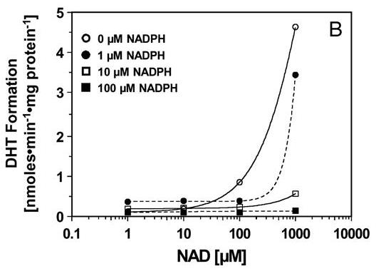 AKR1C2-456H-4.jpg