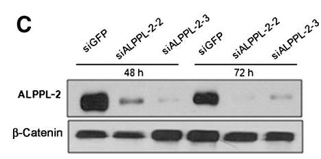 ALPG-3335H-3.jpg