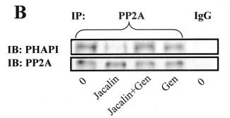 ANP32A-3944H-3.jpg