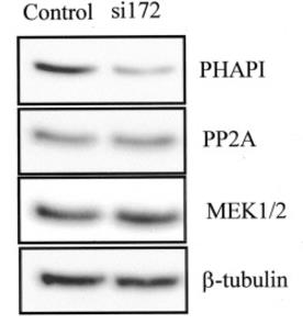 ANP32A-3944H-4.jpg