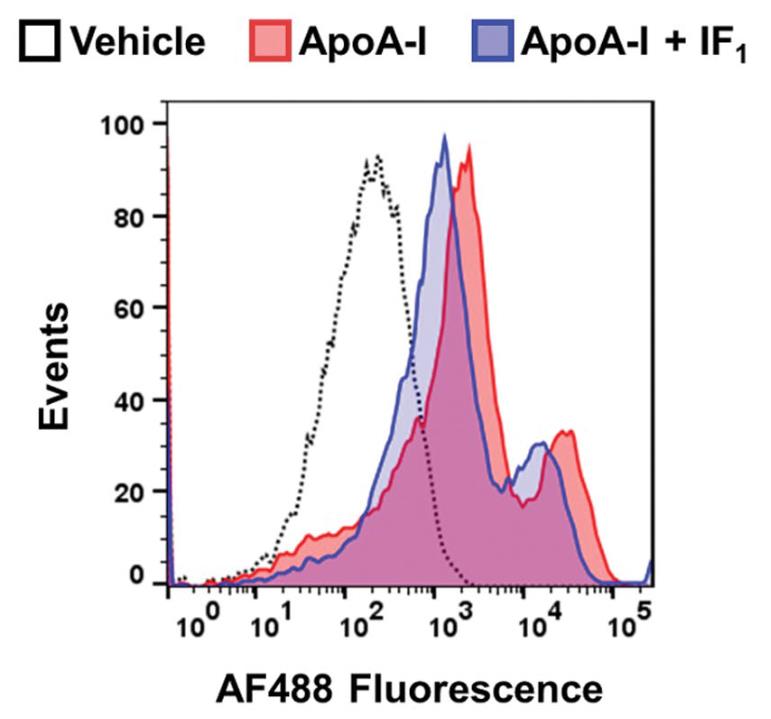 ATPIF1-3.jpg