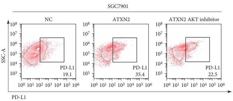 ATXN2-156H-2.jpg