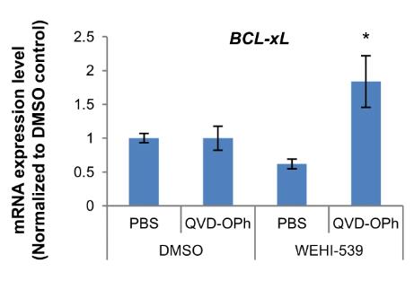BCL2L1-6872H-4.jpg