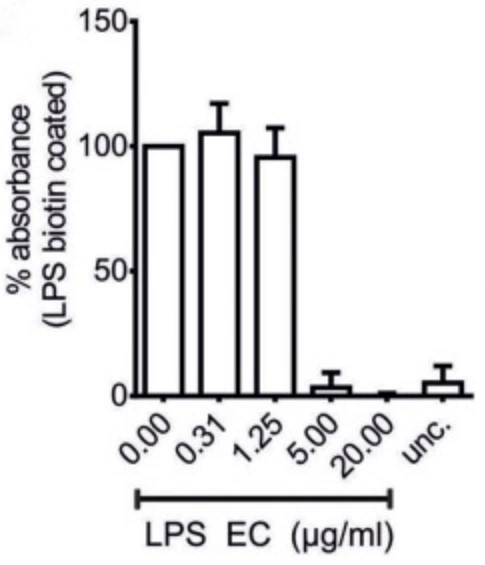 BPI-3.jpg